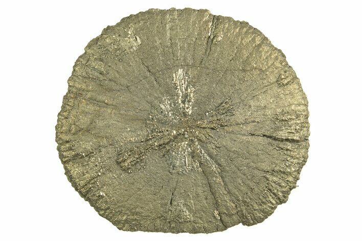 Radiant Pyrite Sun - Sparta, Illinois #342579